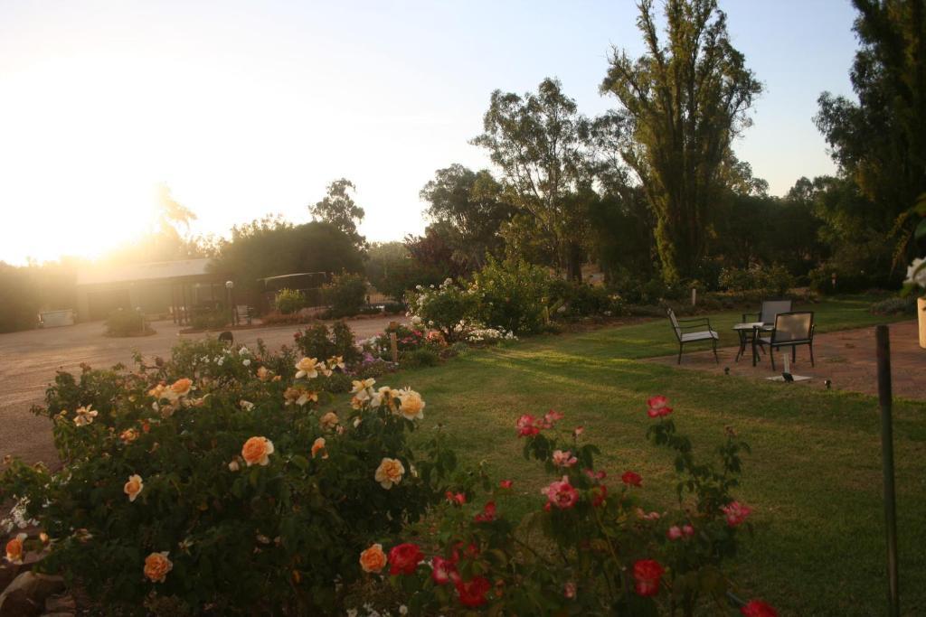 Newell Motor Inn Narrandera Extérieur photo
