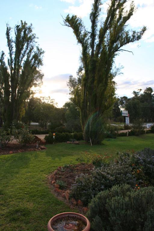 Newell Motor Inn Narrandera Extérieur photo